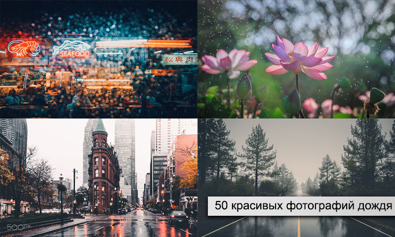 Как фотографировать в дождь?