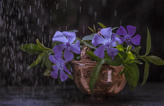 фотографии дождя