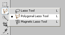 Polygonal Lasso Tool