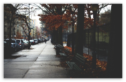 Cold Autumn Day In New York City