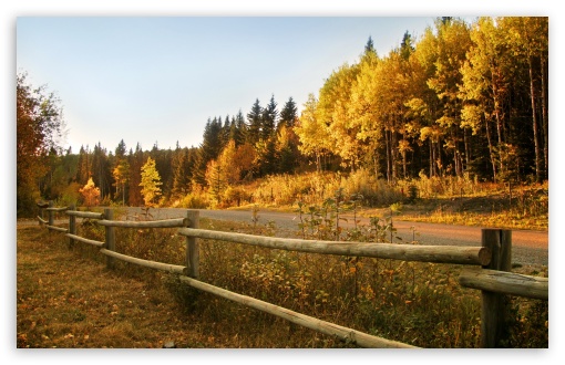 Wooden Fence Along A Road