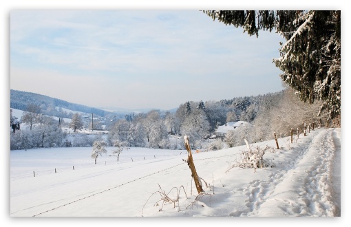 Winter Country Landscape