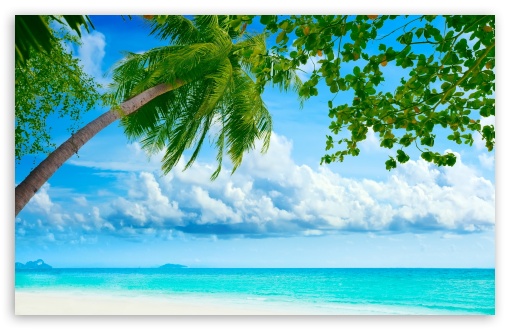 Tropical Beach Resorts