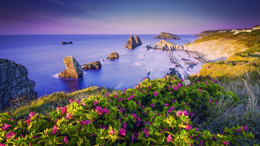 Flower Sea Rocks