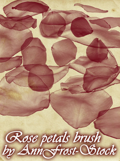 Rose Petals Brush