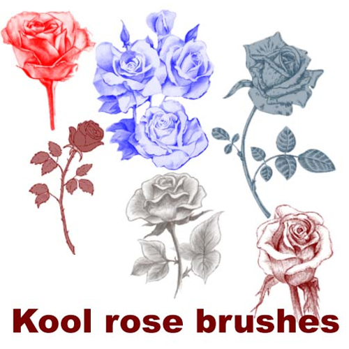 Kool rose brushes