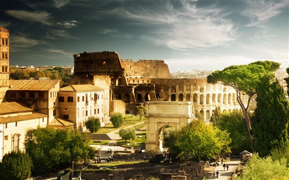 Colosseum Italy Rome