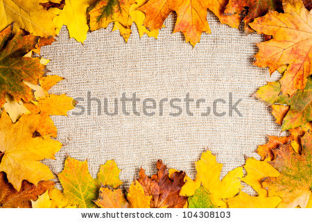 Fallen maple leaves on canvas