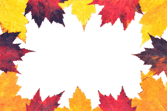 Autumn Maple Leaves Border