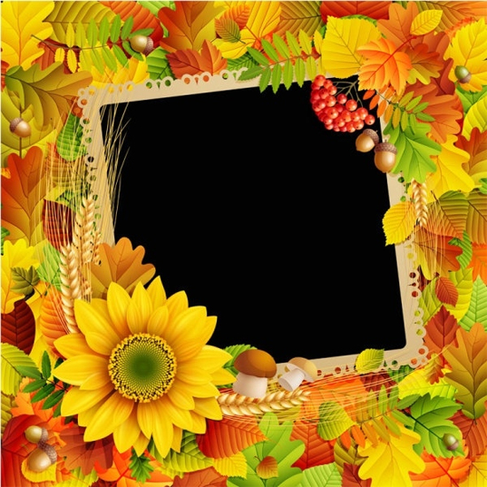 Beautiful Leaves Frame Background