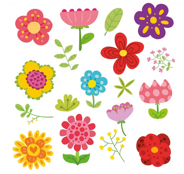 Flowers Illustration Collection
