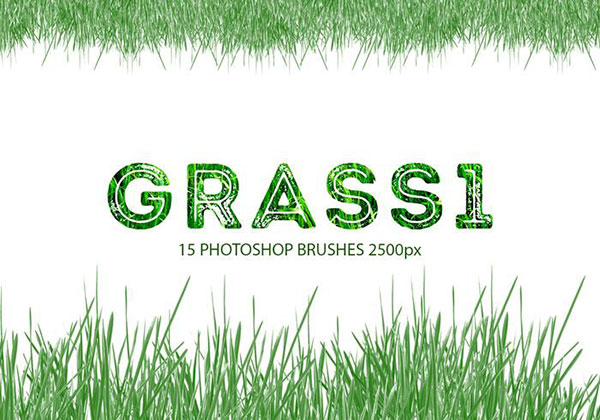 15 Grass Photoshop Brushes, 2500px