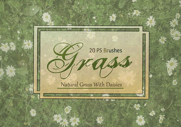 20 Grass Texture PS Brushes.Abr Vol.2