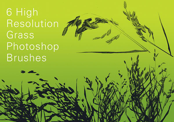 6 High Resolution Grass Brushes