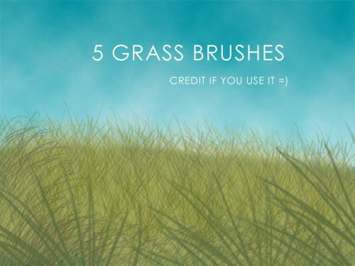 5 Grass Brushes by Akibara-stock