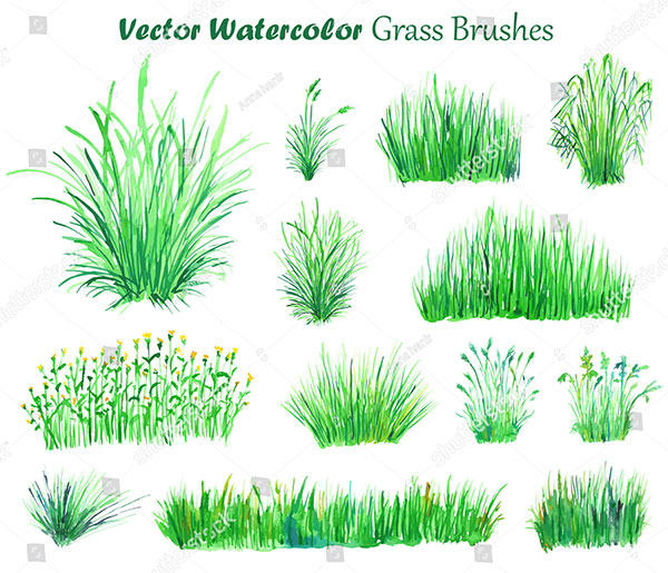 Watercolor Vector Grass Illustration