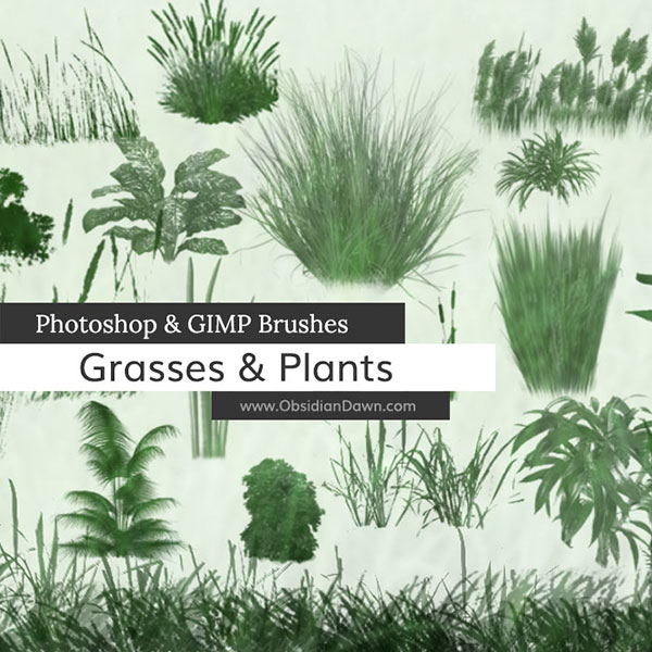 Grasses and Plants Photoshop and GIMP Brushes