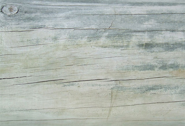 Wood texture by Parée
