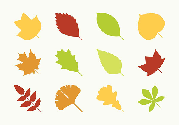 Flat Different Leaves Icons