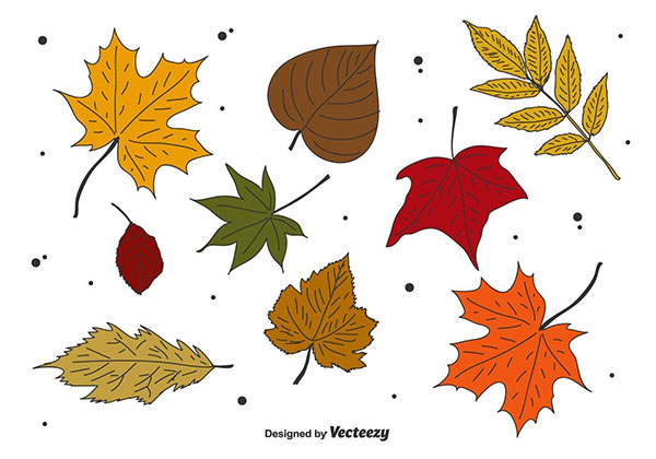 Autumn Leaves VectorSet