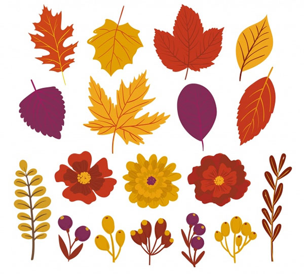 Pack of Pretty Autumn Leaves and Flowers
