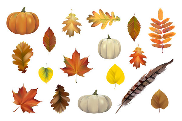 Collection of Autumn Vector