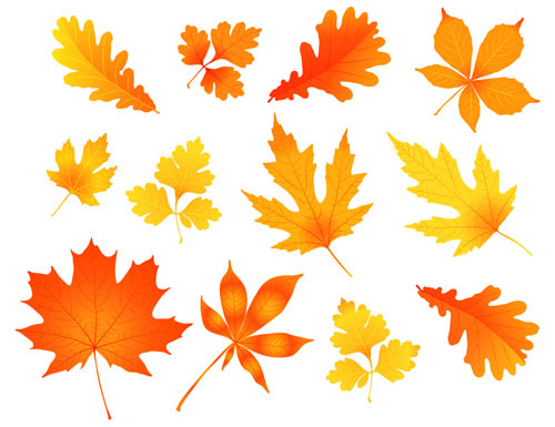 Free Autumn leaves VectorSet