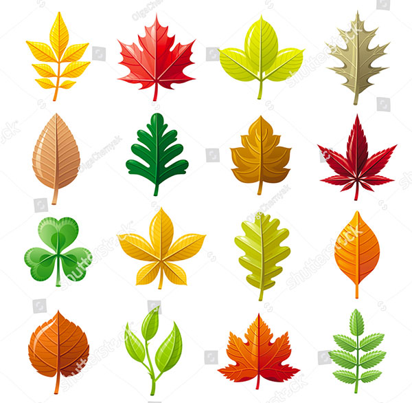 Leaves Vector Iconset 