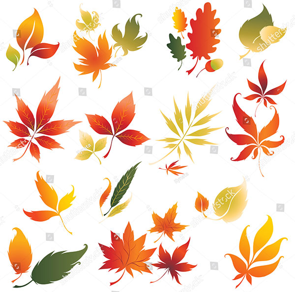 Colorful Autumn Leafs