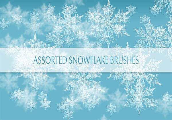 Real Snow Flakes Brushes