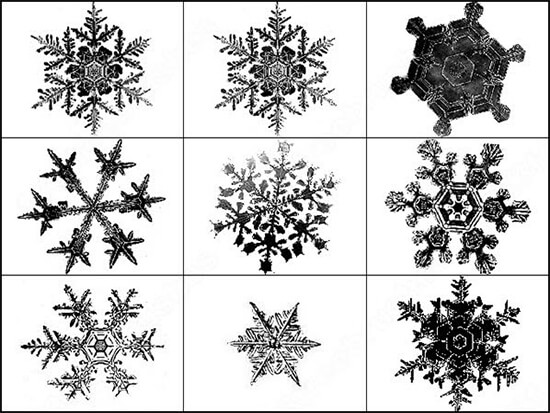 Snowflakes Brush Abr Format 