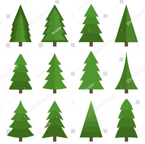 Christmas Trees on a White Background