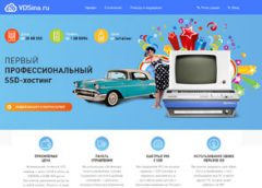 VDSina.ru - профессиональный VDS-хостинг