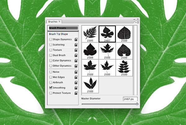 Free High-Res Photoshop Leaves Brushes