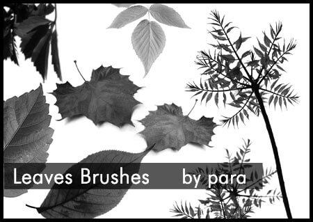Leaves Brushes by GMpara