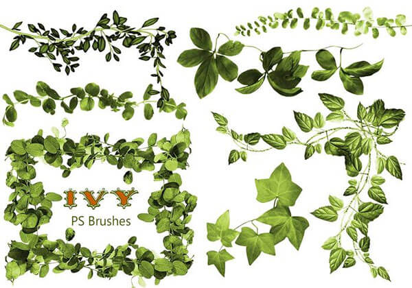 20 Ivy PS Brushes Abr Vol.2