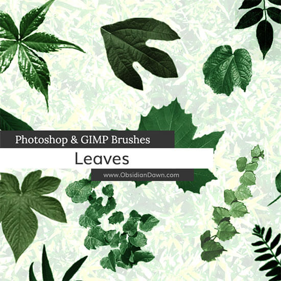 Leaves Photoshop&GIMP Brushes
