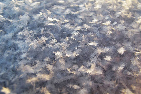Surface Covered With Snowflakes