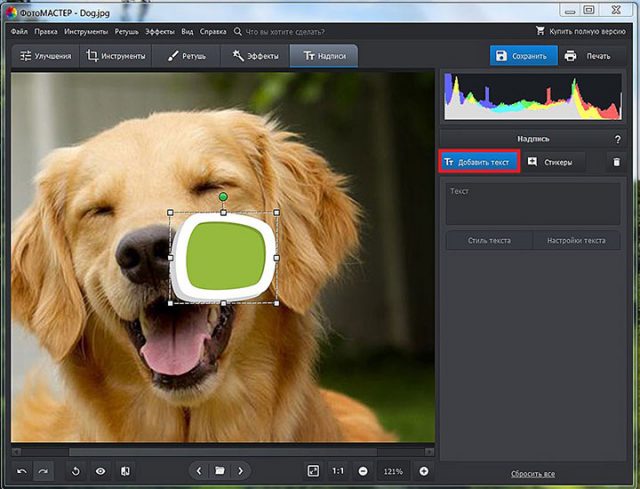 ФОТОМАСТЕР приложение. Редактор ФОТОМАСТЕР. Добавить Стикеры на фото. Программы для добавления на фото стикеров.